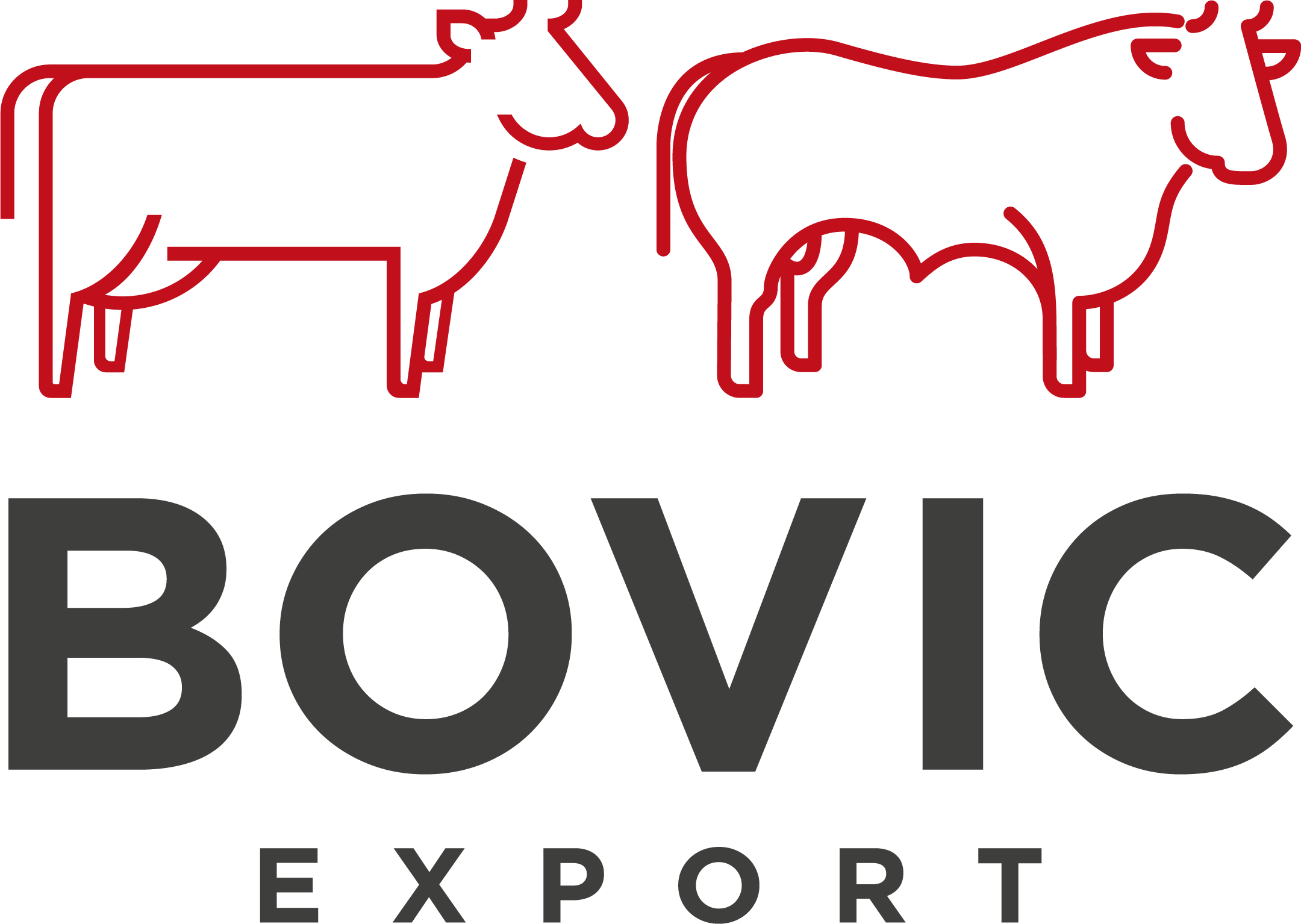 BOVIC EXPORT